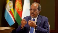 የሶማሊያ ፕሬዝዳንት ኢትዮጵያ እና ግብፅ በአገራቸው ውስጥ እንዲዋጉ እንደማይፈቅዱ ተናገሩ