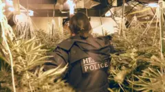 Policialbot roleta brasileiracostas durante batidabot roleta brasileiraplantaçãobot roleta brasileiracannabis 