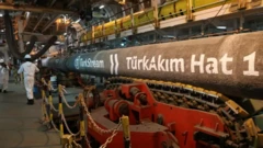 TürkAkım