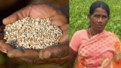 கொல்லிமலை பழங்குடிகளின் உணவுமுறையையே மாற்றிய காலநிலை மாற்றம் - ஆய்வில் தெரிய வந்த உண்மை