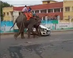 हाथी