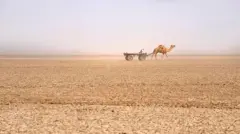 કચ્છનું રણ, કચ્છનું નાનું રણ, ખારાઘોડા, ગુજરાતની ભૂગોળ, કચ્છનો ઇતિહાસ, કચ્છના રણમાં ભૂલા પડવું, અગરિયા, બીબીસી ગુજરાતી, કચ્છ, સફેદ રણ, મીઠાનું ઉત્પાદન, ગુજરાત