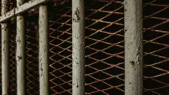 બાલેશ ધનખડ, બળાત્કાર, ભાજપ, ઑસ્ટ્રેલિયા, મહિલાઓનું જાતીય શોષણ