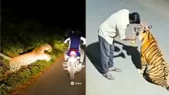 एआयने तयार केलेले व्हीडिओ