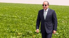 مشروع الدلتا الجديدة في مصر: لماذا قد لا يحقق الاكتفاء الذاتي الزراعي؟