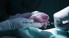 Жүрөк, кан тамыр ооруулары Кыргызстандагы башкы көйгөйлөрдүн бири...