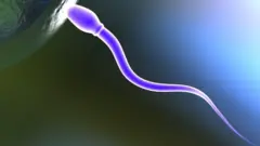 اسپرم