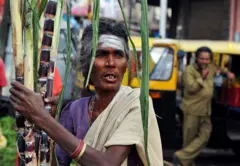 கரும்பு