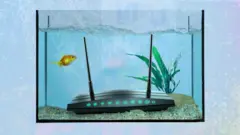 Roteador wi-fi submerso dentro de um aquário com um peixe dourado