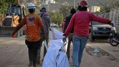 Bolsas de cuerpos