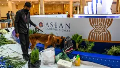 လုံခြုံရေးတင်းကျပ်ထားတဲ့ ထိပ်သီးဆွေးနွေးပွဲအကြို ဖနွမ်းပင်