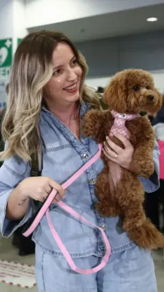 Poseban let za putnike i njihove ljubimce sa Bliskog istoka