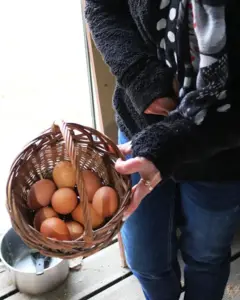 Mulher segurando cesta de ovos