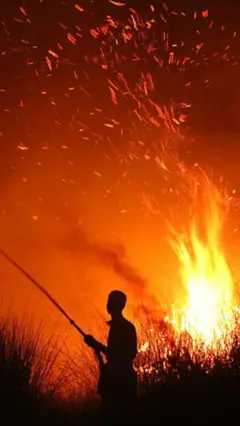 Karhutla di Indonesia