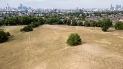 ロンドンのペッカム・コモンに広がる枯れ草の空撮写真