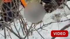 பனிப்புயலின் நடுவில் எஜமானரின் உடலைப் பாதுகாத்த நாய்