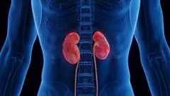 சிறுநீரக செயலிழப்பு, சிறுநீரக நோய்கள், சிகேடி, க்ரானிக் கிட்னி டிசீஸ், நாள்பட்ட சிறுநீரக நோய் 