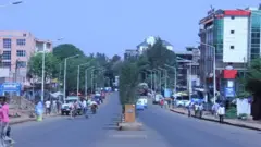 Maqaalaa Naqamtee