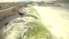 పట్టిసీమ 