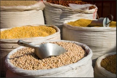 Ẹ̀wà, àgbàdo àti jéró tó wà nínú àpò 