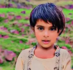 جویریہ کی والدہ کہتی ہیں کہ انھوں نے اپنی بیٹی کو بچانے کی کوشش کی لیکن تیندوے تک کوئی نہیں پہنچ سکا
