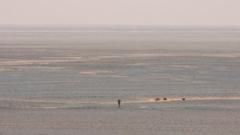 Cook corriendo en el desierto del Sáhara.