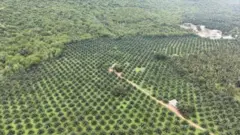 தந்தையைத் தேடிச்சென்று காணாமல் போன இரண்டு வயது சிறுமி