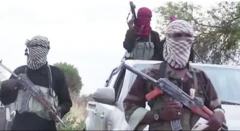 بوکو حارم ډله