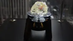 Peace diamond on display 