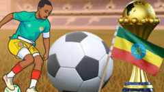 "ሰርገኛ መጣ. . ." ኢትዮጵያ የአፍሪካ ዋንጫን የማዘጋጀት አቅሙ አላት?