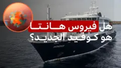 فيروس هانتا