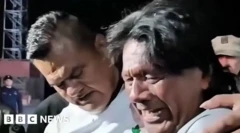 ኣብ ባሕሪ ዕንቅርቢትን ድዱዕን እናበልዐ ህይወቱ ዘድሓነ ጋፋፊ ዓሳ