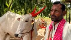 दत्तात्रय कोळेकर