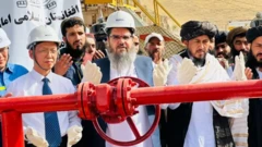 طالبان حکومت قدرتی وسائل پر بھرپور توجہ دے رہی ہے