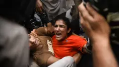 कुस्तीवीरांच्या आंदोलनानं गेल्या वर्षी भारताचं क्रीडाविश्व ढवळून निघालं होतं. 