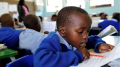 Integuro y'itegeko BELA ni zo mpinduka za mbere zikomeye mu gisata c'indero ca Afrika y'Epfo kuva intwaro ya apartheid ivuyeho