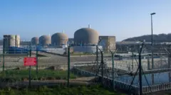 ఫ్రాన్స్, అణు విద్యుదుత్పత్తి కేంద్రం, జెల్లీ ఫిష్