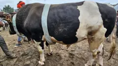ስቡሕ