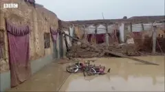 چمن