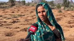 બીબીસી ગુજરાતી, ગુજરાત, બીબીસી, અમદાવાદ, પાડલિયા, બનાસકાંઠા, અંબાજી