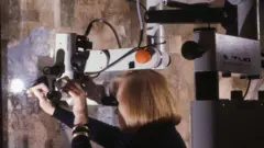 Brambilla trabalhando