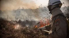 Brigadista tenta controlar incêndiopixbet flamengo masterCorumbá, MS