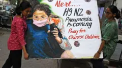 చైనా నిమోనియా 