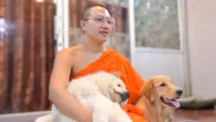 පන්සල අසල අතහැර දමා ගිය සුරතල් සතුන් රැකබලා ගන්නා හිමිනමක්