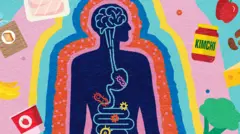 O ilustrație care conectează creierul unei persoane cu intestinul acesteia, cu imagini inclusiv un borcan de kimchi, broccoli și o banană înconjurând conturul corpului.
