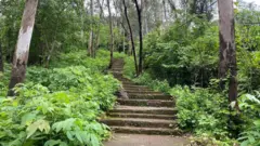 मंदिर 