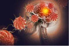 মগজখেকো অ্যামিবা