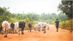 Ndị ọchịehi n'obodo Ukpata Uzo-Uwani