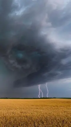 બીબીસી ગુજરાતી ચોમાસું વરસાદ ગુજરાત