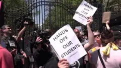 American University 